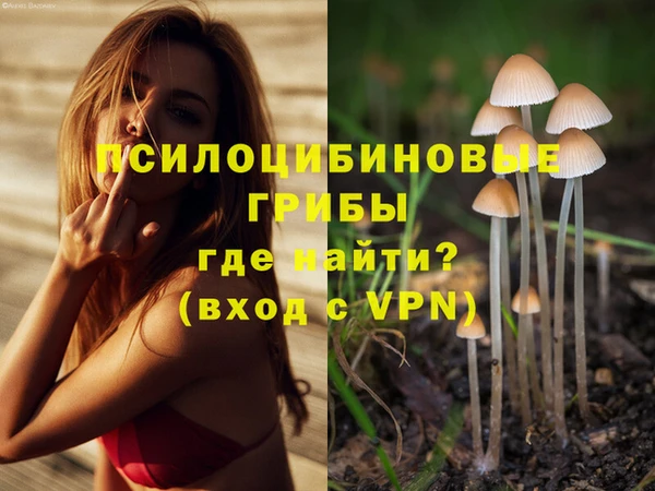 тгк Балабаново