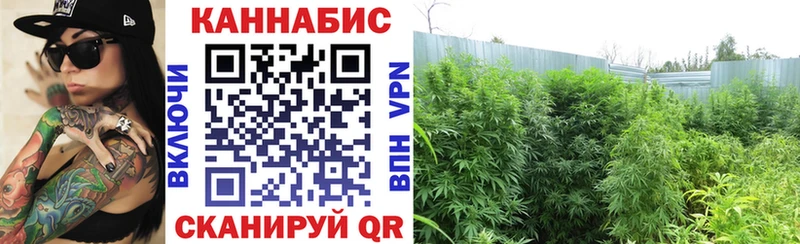 Канабис марихуана Вятские Поляны
