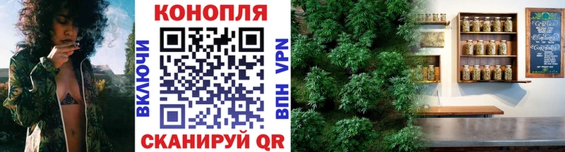 Бошки Шишки THC 21%  Вятские Поляны 